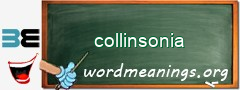 WordMeaning blackboard for collinsonia